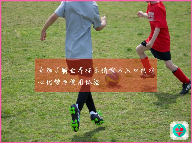 全面了解世界杯竞猜官方入口的核心优势与使用体验