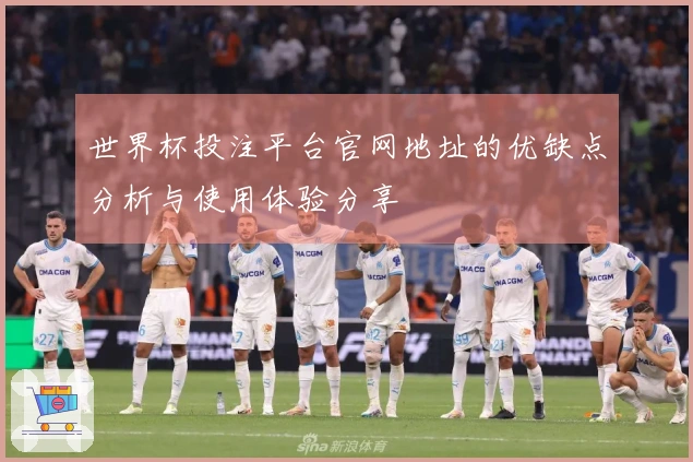 世界杯投注平台官网地址的优缺点分析与使用体验分享
