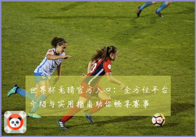 世界杯竞猜官方入口：全方位平台介绍与实用指南助你畅享赛事