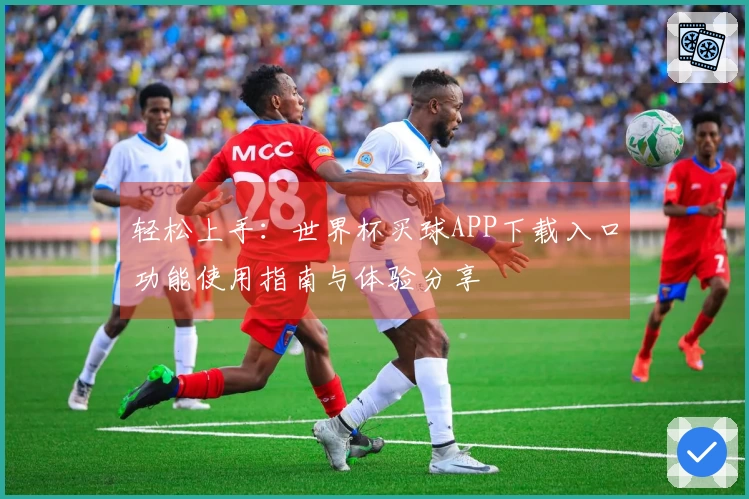轻松上手：世界杯买球APP下载入口功能使用指南与体验分享