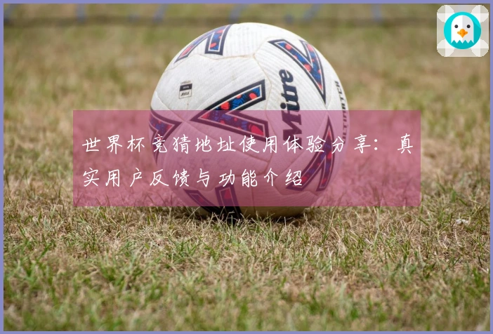 世界杯竞猜地址使用体验分享：真实用户反馈与功能介绍