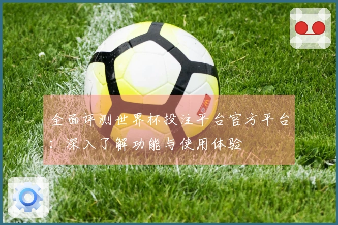 全面评测世界杯投注平台官方平台：深入了解功能与使用体验