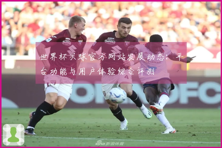 世界杯买球官方网站发展动态：平台功能与用户体验综合评测