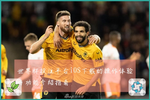世界杯投注平台iOS下载的操作体验与功能介绍指南