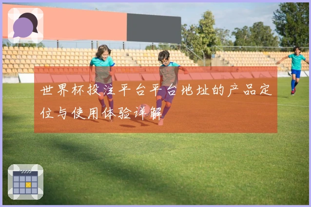 世界杯投注平台平台地址的产品定位与使用体验详解