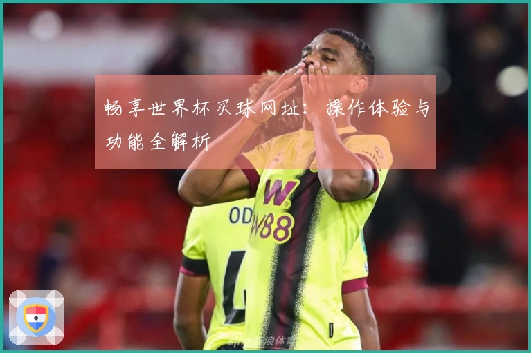 畅享世界杯买球网址：操作体验与功能全解析